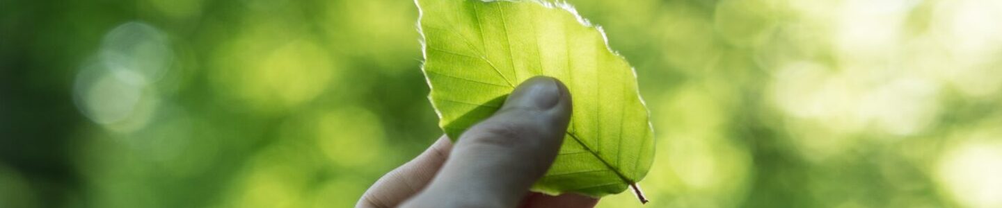 tobias-weinhold-hXPomXrpUP0-unsplash